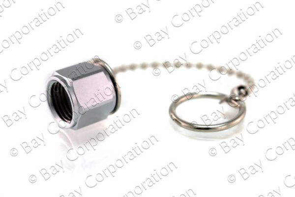 DISS Cap & Chain Assembly, O2 - Image 2