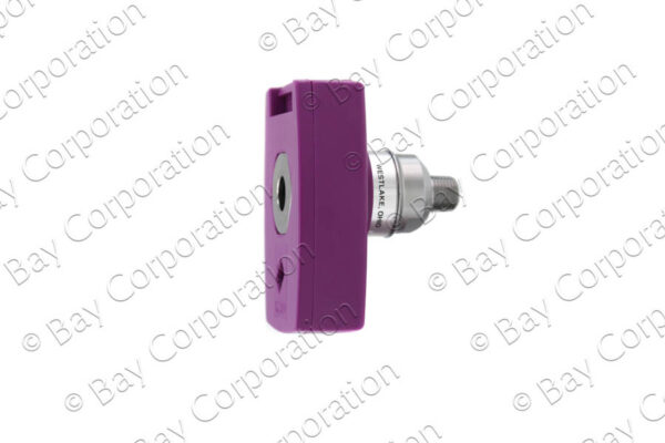 Chemetron Female Coupler x 1/8" NPT Male, WAGD - Image 2